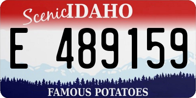 ID license plate E489159