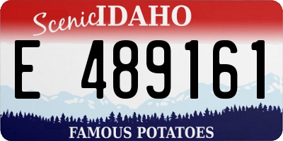 ID license plate E489161