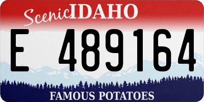 ID license plate E489164