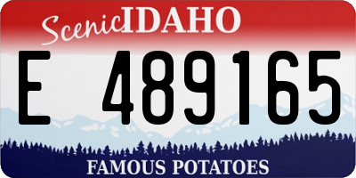 ID license plate E489165