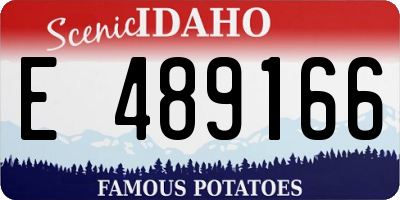 ID license plate E489166