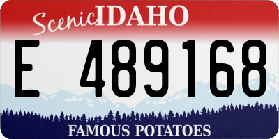 ID license plate E489168