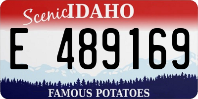 ID license plate E489169