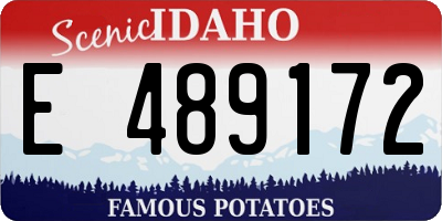 ID license plate E489172