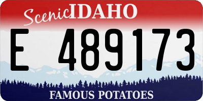 ID license plate E489173