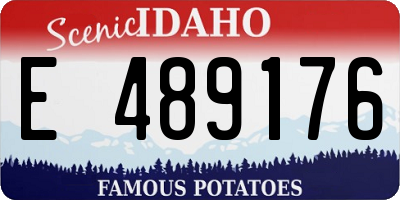 ID license plate E489176