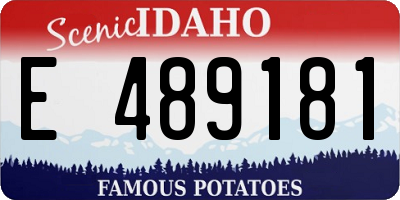 ID license plate E489181