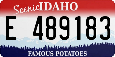 ID license plate E489183