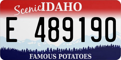 ID license plate E489190