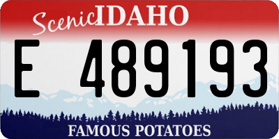 ID license plate E489193