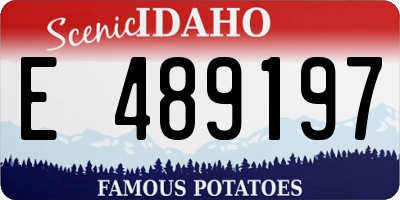 ID license plate E489197