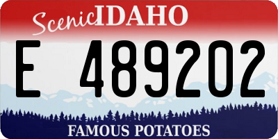 ID license plate E489202