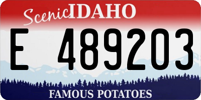 ID license plate E489203
