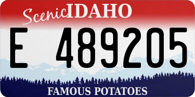 ID license plate E489205