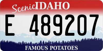 ID license plate E489207