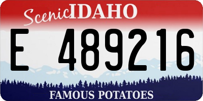 ID license plate E489216