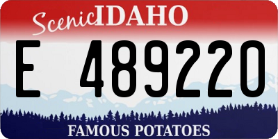 ID license plate E489220