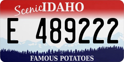 ID license plate E489222