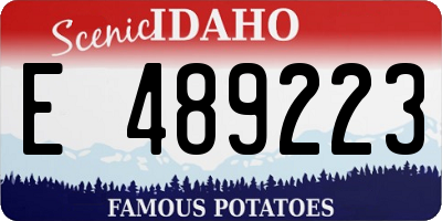 ID license plate E489223