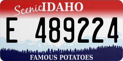 ID license plate E489224