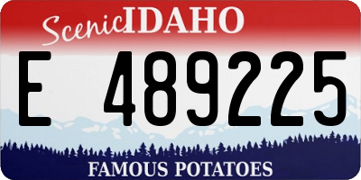 ID license plate E489225