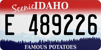 ID license plate E489226