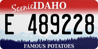 ID license plate E489228