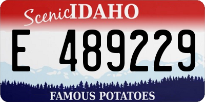 ID license plate E489229