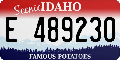 ID license plate E489230