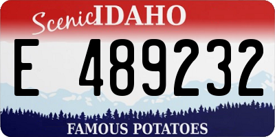 ID license plate E489232