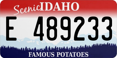 ID license plate E489233