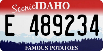 ID license plate E489234