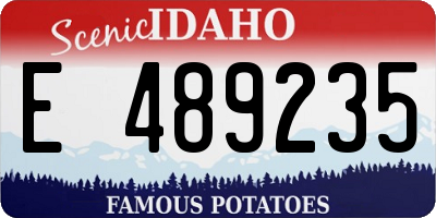 ID license plate E489235