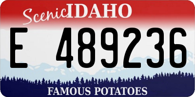 ID license plate E489236