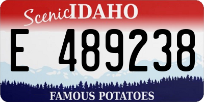 ID license plate E489238