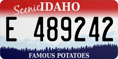 ID license plate E489242