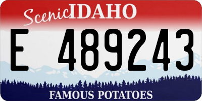 ID license plate E489243