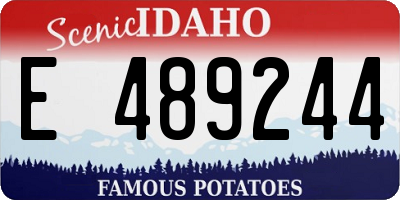 ID license plate E489244