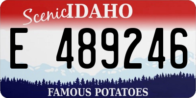 ID license plate E489246
