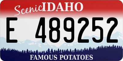 ID license plate E489252