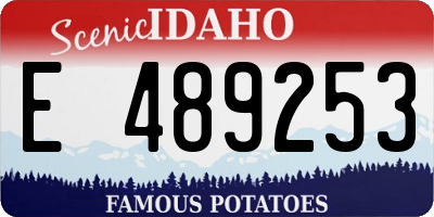 ID license plate E489253
