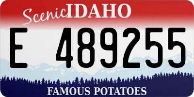 ID license plate E489255