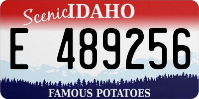 ID license plate E489256