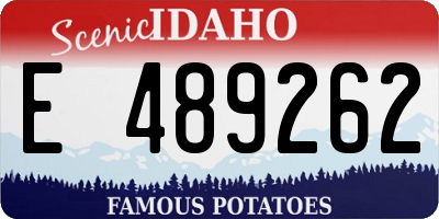 ID license plate E489262