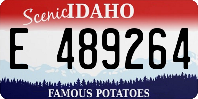 ID license plate E489264