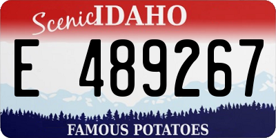 ID license plate E489267