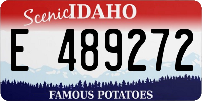 ID license plate E489272