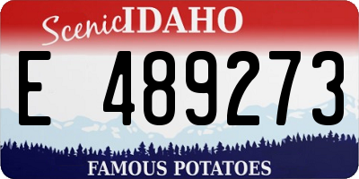 ID license plate E489273