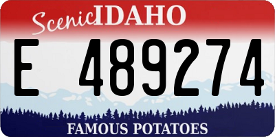 ID license plate E489274