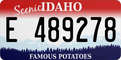 ID license plate E489278